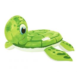 Tortue avec poignées