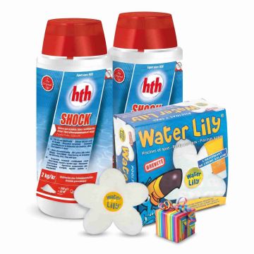 Lot de chlore choc HTH Shock 2 kg